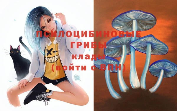 МДМА Кодинск